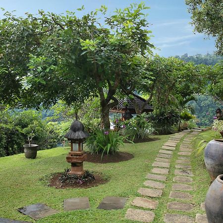 Villa Patria Lovina Kültér fotó